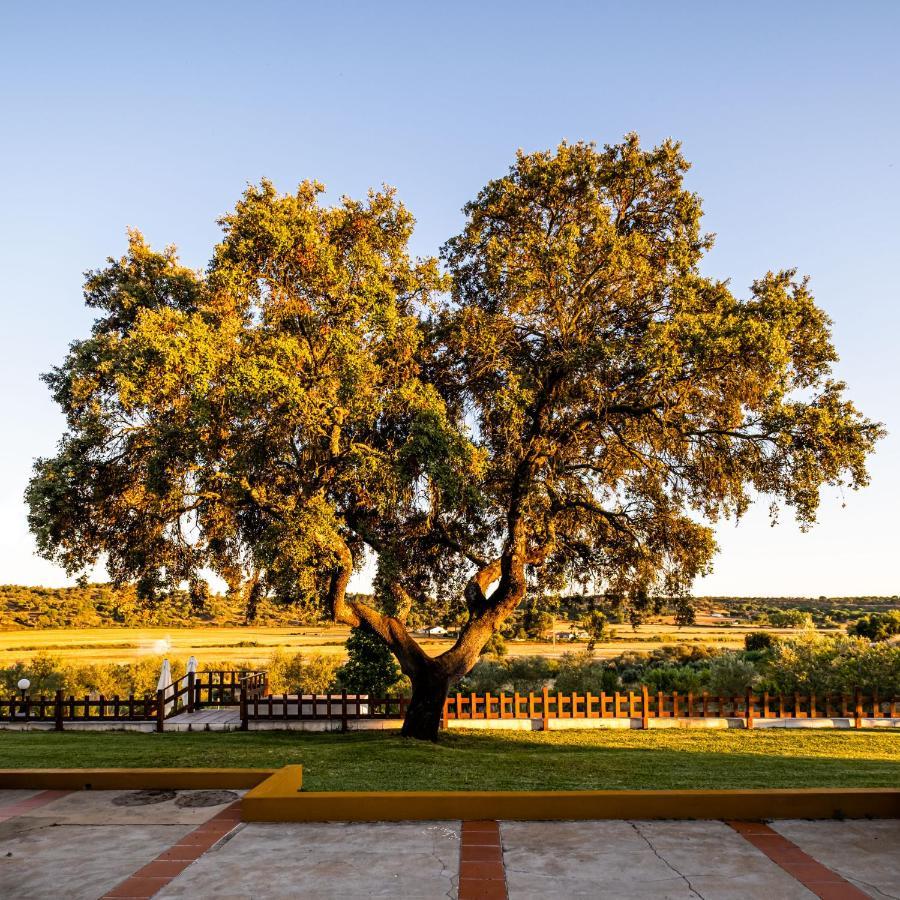 Monte Da Raposinha Enoturismo, Montargil Villa Exteriör bild